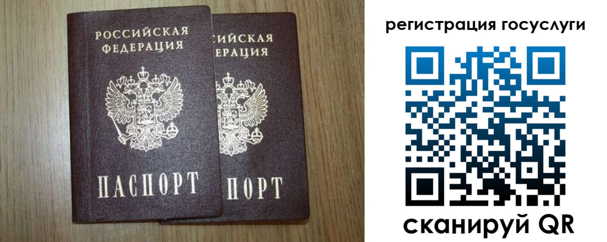 прописка поиск в Сланцах
