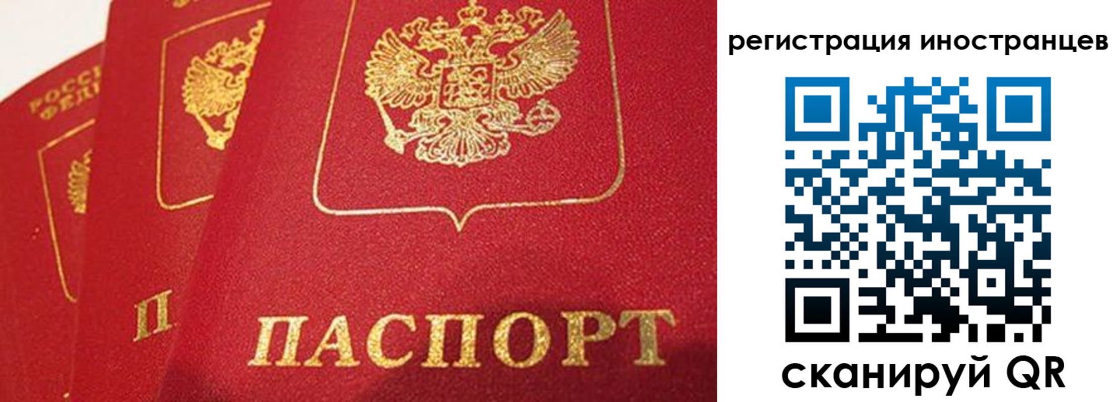 временная прописка в Сланцах